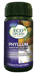 PHYLLUM ECO OPCION ANASAC