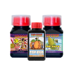 TOP CROP TRIPACK AUTO