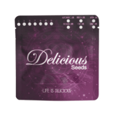 Delicious Seeds Critical Neville Haze Auto 3 unid