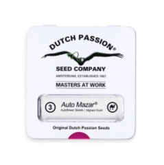 DUTCH PASSION MAZAR AUTO 3unid