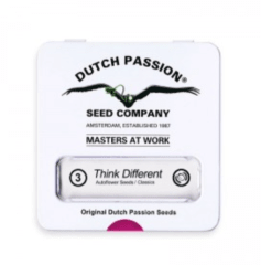DUTCH PASSION THINK DIFFERENT AUTO 3 unid
