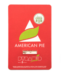 PYRAMID SEEDS AUTO AMERICAN PIE 3+1 UNID