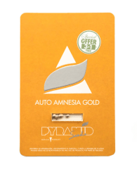 PYRAMID SEEDS AUTO AMENSIA GOLD