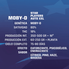 Bsf Seeds Moby-D X4