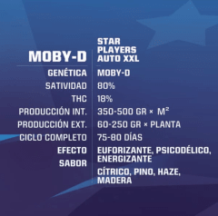 Moby-D AUTO XXL - Bsf Seeds