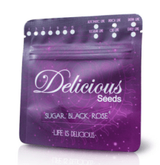 DELICIOUS SEEDS AUTO SUGAR BLACK ROSE 3 UNI
