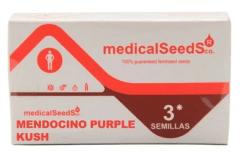 MEDICAL SEEDS MENDOCINO PURPLE KUSH