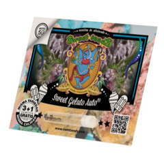 Sweet Seeds Sweet Gelato Auto X 3+1