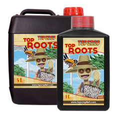 TOP CROP TOP ROOTS