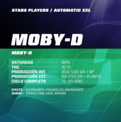 BSF MOBY DICK XXL AUTO 2 UNID