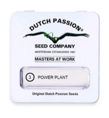 DUTCH PASSION POWER PLANT FEM X3