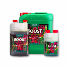 CANNA BOOST ACCELERATOR