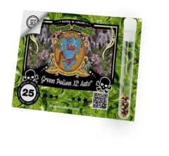 SWEET SEEDS GREEN POISON XL AUTO 3+1