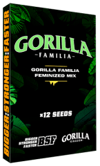 GORILLA FAMILIA BSF MIX 12 unid