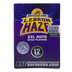 BSF LEBRON HAZE XXL 12 UNI AUTO