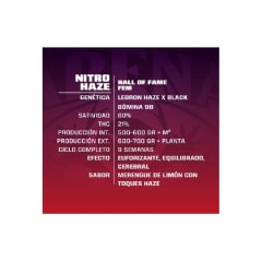 BSF SEEDS - NITRO HAZE FEM 2 UNID