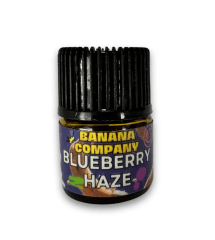 TERPENOS 1 ML - BANANA COMPANY BLUEBERRY HAZE