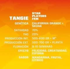 BSF Tangie - X12