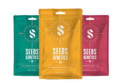 SEEDS GENETICS CBD CRITICAL AUTO X5