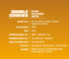 BSF SEEDS DOUBLE COOKIES AUTO X12 UNID