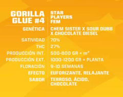 Gorilla #4 FEM- Pack 100 semillas - BSF