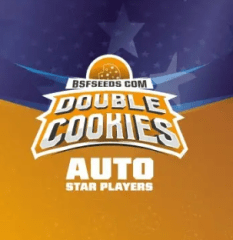 Double cookies AUTO - Pack 1000 semillas – BSF