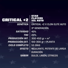 BSF Critical +2 Fem - X12