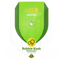 ROYAL QUEEN SEEDS AUTO BUBBLE KUSH 1UNID