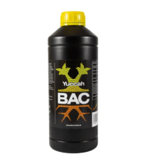 YUCCAH 250ML-BAC