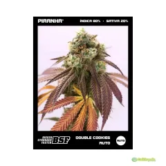 BSF SEEDS DOUBLE COOKIES AUTO 2 UNID