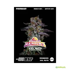 BSF SEEDS RAIMBOWS XXL AUTO X4