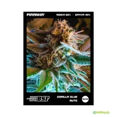 BSF SEEDS GORILLA GLUE AUTO 4 UNID