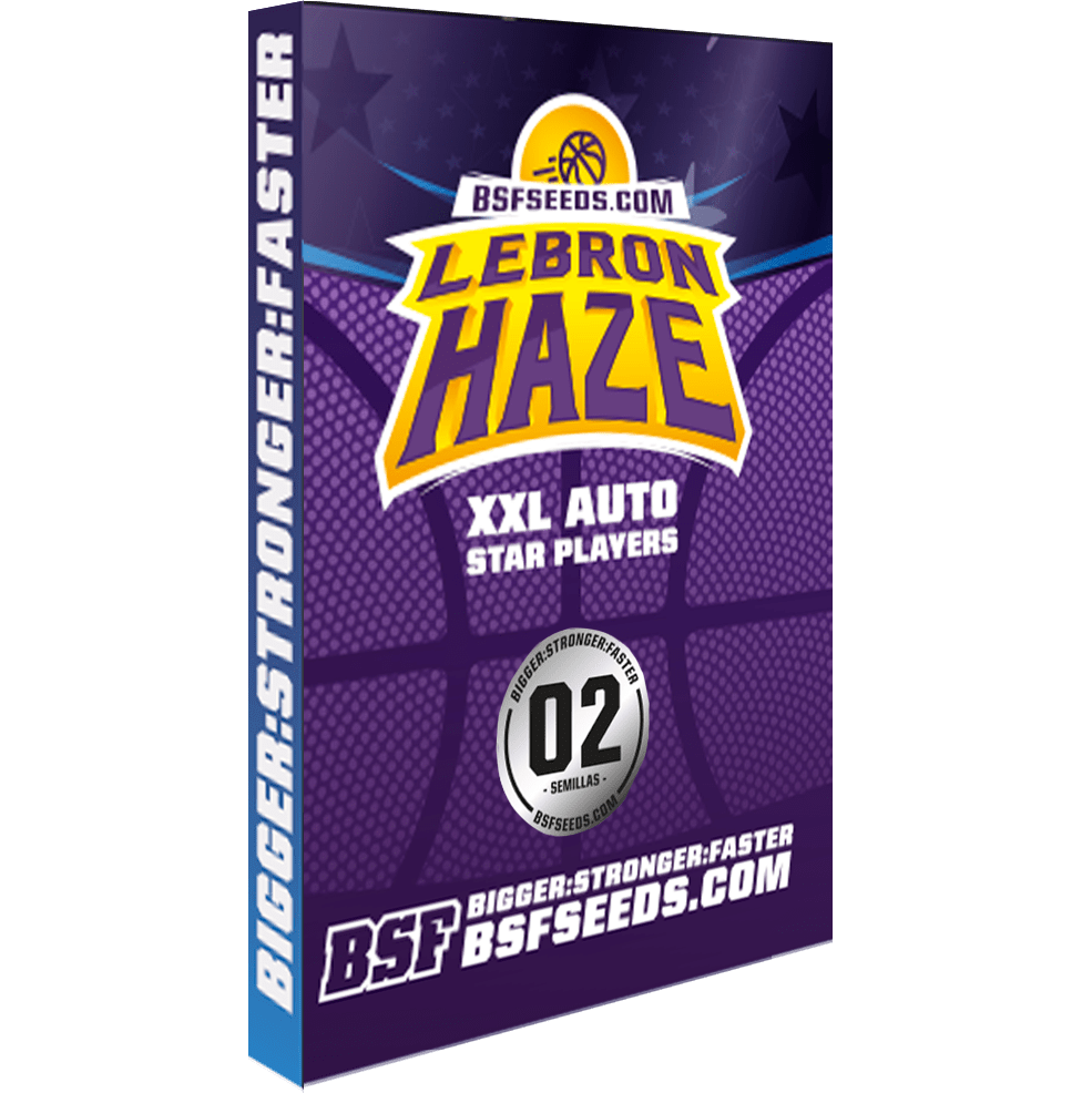 Lebron Haze  Xxl X2 - Bsf Seeds1