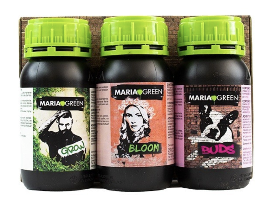 MARIA GREEN PACK DE INICIACION1