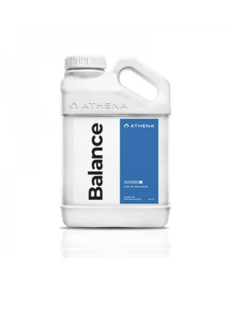 BALANCE 1 GALON (3,8 LITROS) ATHENA1