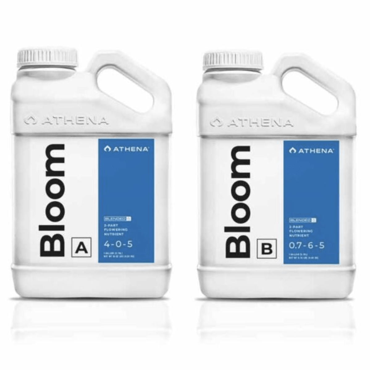 BLOOM A+B 1GAL ATHENA2