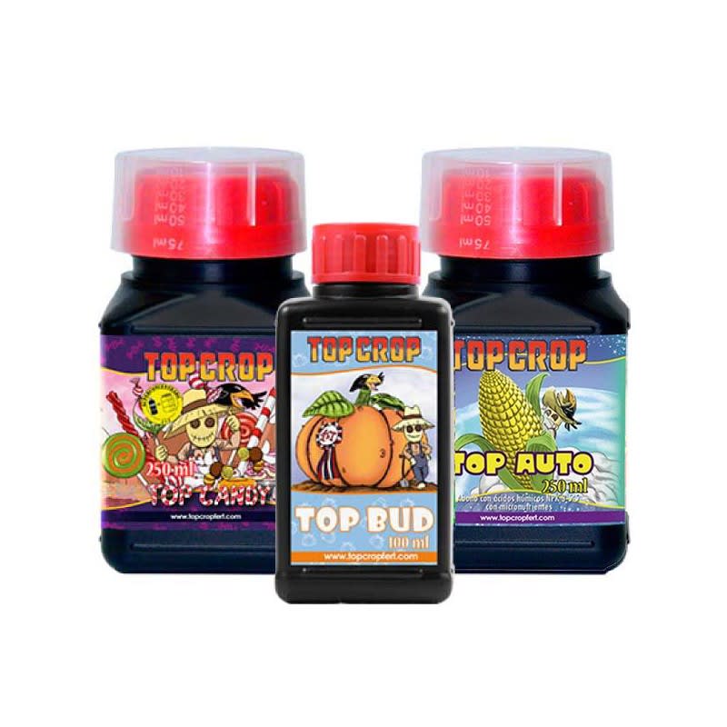 TOP CROP TRIPACK AUTO1