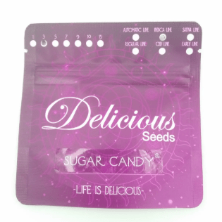 DELICIOUS SEEDS SUGAR CANDY AUTO 3unid1