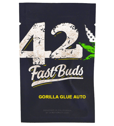 FAST BUDS GORILLA GLUE AUTO 1 unid1