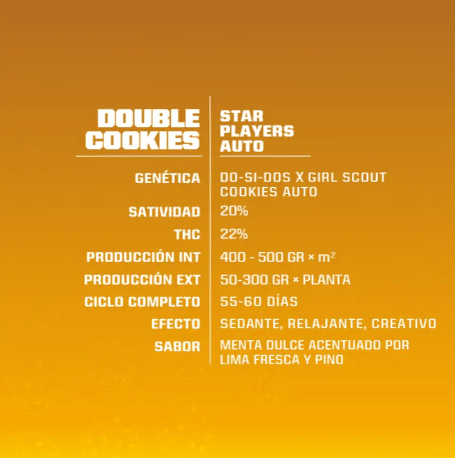 BSF SEEDS DOUBLE COOKIES AUTO 4 UNID1