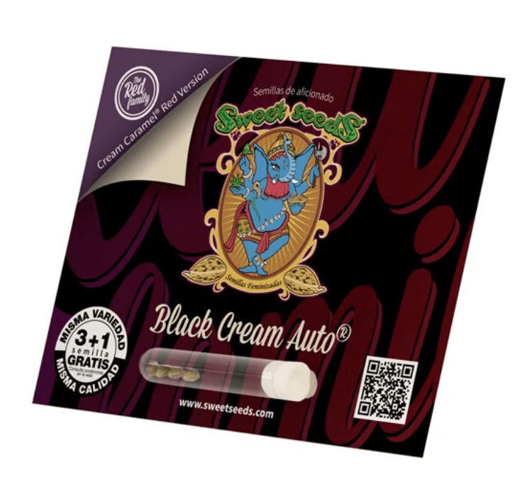 SWEET SEEDS BLACK CREAM AUTO 3+1 UNID1