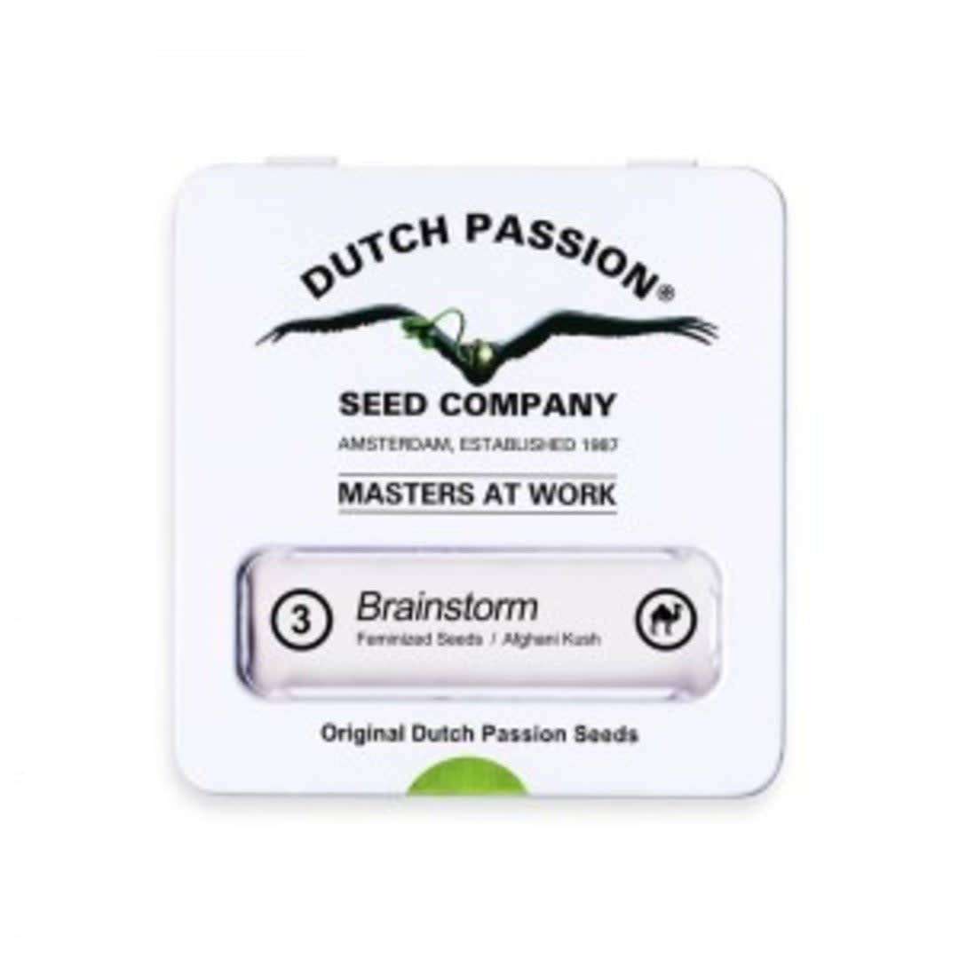 DUTCH PASSION FEM BRAINSTORM1