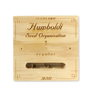 HUMBOLDT SEEDS PINEAPPLE SKUNK FEM1