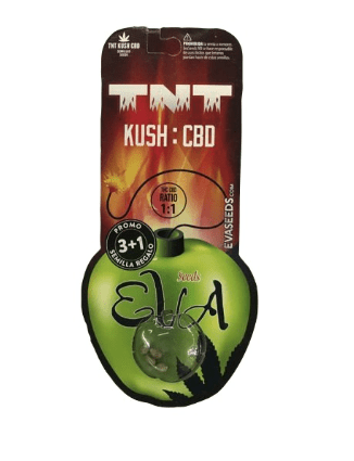 EVA SEEDS TNT KUSH FEM 3+1 unid1