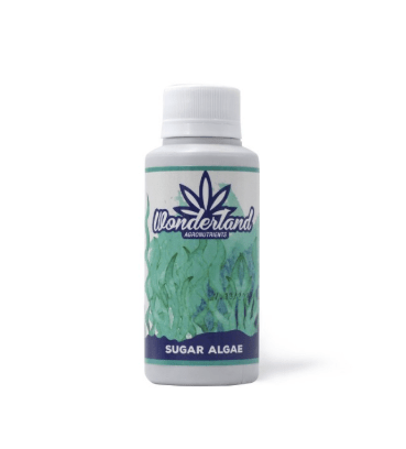 WONDERLAND SUGAR ALGAE 120ml1