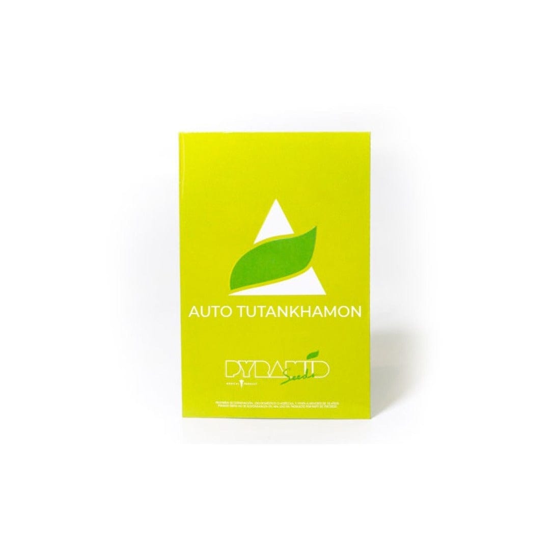 PYRAMID SEEDS AUTO TUTTANKHAMON1