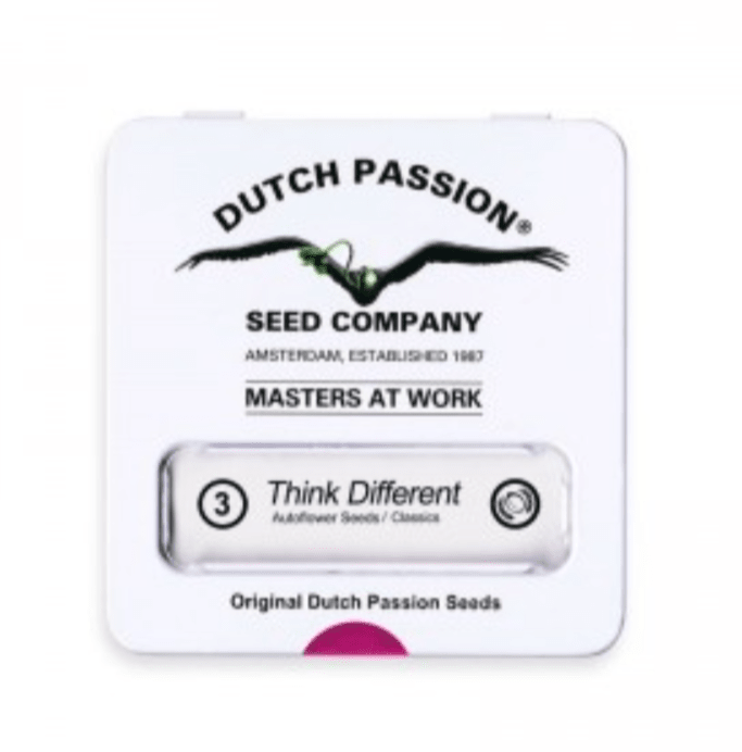 DUTCH PASSION THINK DIFFERENT AUTO 3 unid1