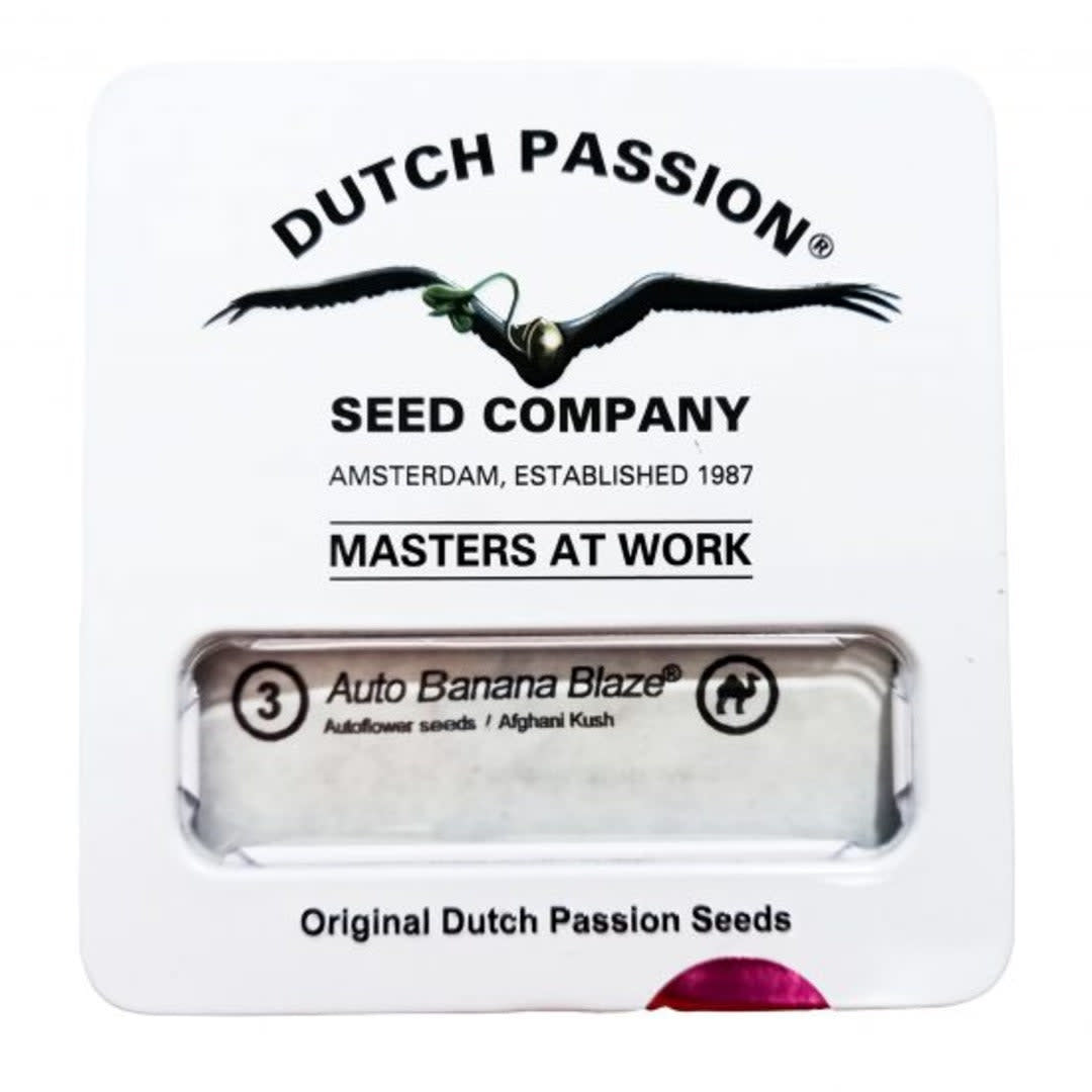 DUTCH PASSION AUTO BANANA BLAZE1