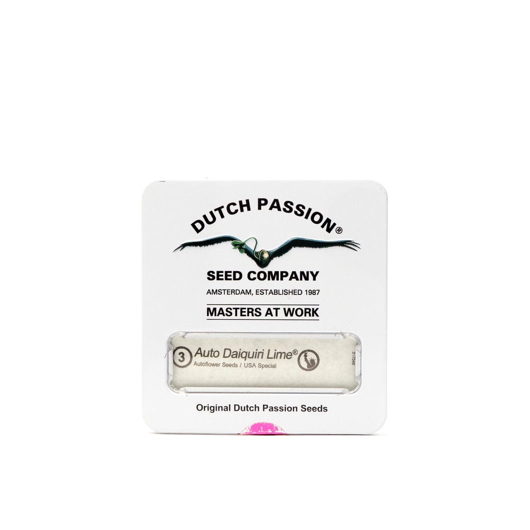 DUTCH PASSION AUTO DAIQUIRI LIME1