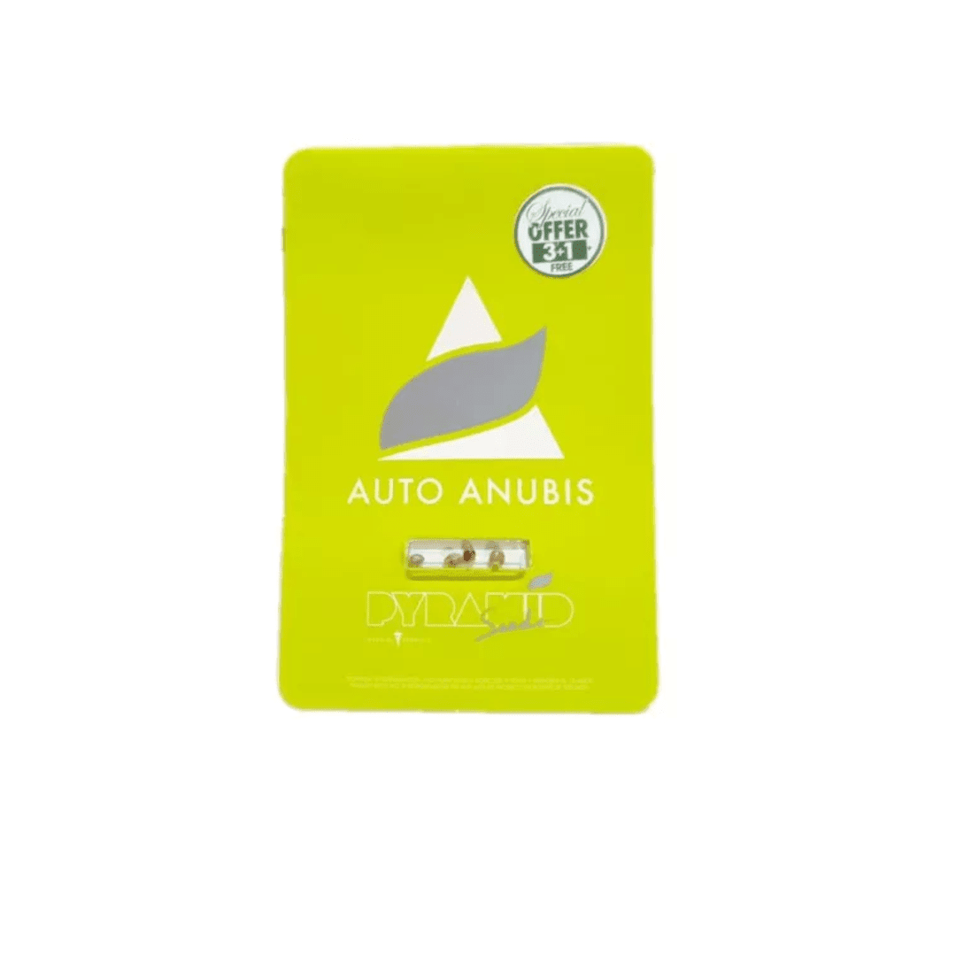PYRAMID SEEDS AUTO ANUBIS1